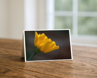 Greeting card with a yellow flower on a wooden surface