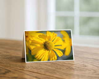 Yellow flower card on a wooden surface with a blurred background by Will Davis Studios