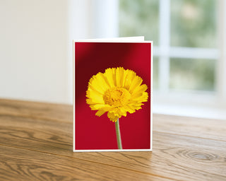 Greeting card with a yellow flower on a red background, placed on a wooden surface. Will Davis Studios