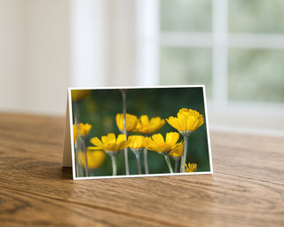 Greeting card with yellow flowers on a wooden surface by Will Davis Studios