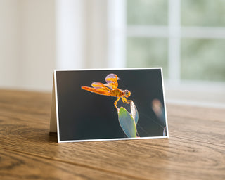 Greeting card with a dragonfly design on a wooden surface Will Davis Studios