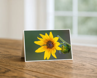 Greeting card with a sunflower design on a wooden surface by Will Davis Studios