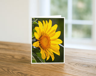 Greeting card with a sunflower design on a wooden surface Will Davis Studios
