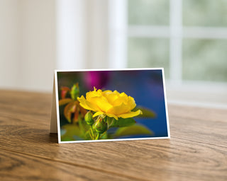 Will Davis Studios 5x7 fine art floral greeting card featuring a vibrant yellow rose with soft colorful background bokeh, displayed standing on a wooden table