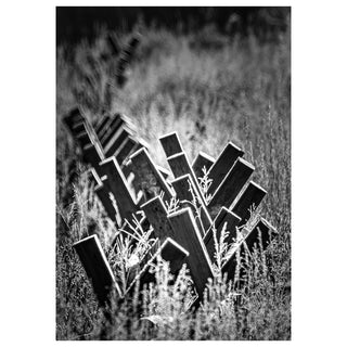 Black and white photo of a rustic wooden fence in Montana surrounded by grasses, fine art western landscape greeting card by Will Davis Studios