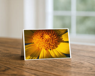 Macro close-up of a yellow daisy flower center with detailed petals and vibrant texture, floral greeting card by Will Davis Studios
