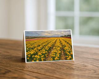 Yellow ranunculus flower fields greeting card standing on a wooden table beside a softly blurred window, showing painterly rows of golden blooms with pink and red bands in the distance beneath textured clouds. 5x7 fine art card by Will Davis Studios.