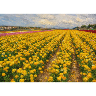 Painterly fine art greeting card of endless rows of yellow ranunculus flowers stretching toward the horizon, with bands of pink, magenta, and red blooms in the distance, a small farm town at the field's edge, and textured impasto-style clouds overhead. 5x7 card.