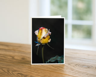 Vertical 5x7 greeting card featuring a yellow rosebud fine art photograph against a dark background, displayed standing on a wooden table.