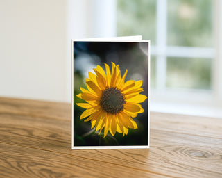 Close-up photograph of a bright yellow sunflower in bloom with detailed center and soft background, floral greeting card by Will Davis Studios