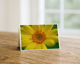 Yellow wildflower macro photography greeting card displayed on a wooden table, close-up floral nature 5x7 card by Will Davis Studios